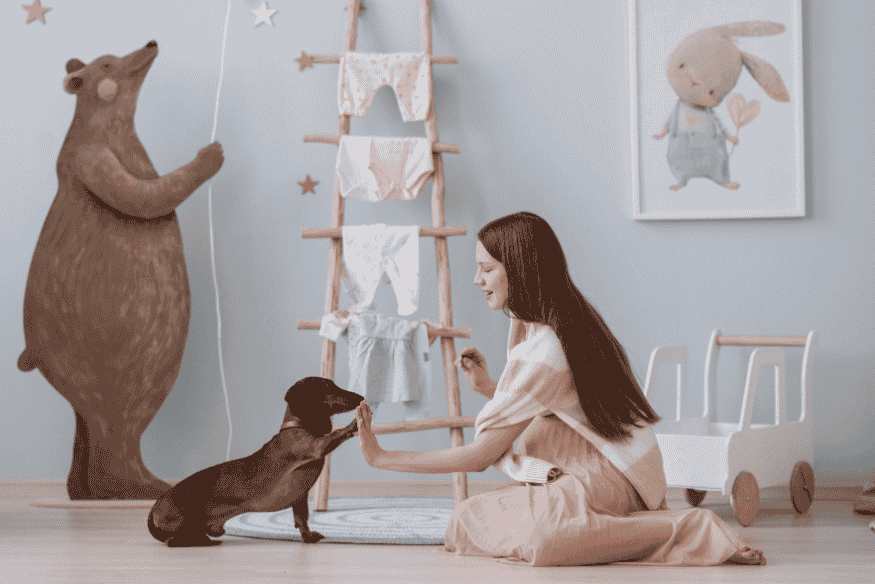 Mulher treinando cachorro filhote com comando positivo em ambiente lúdico e acolhedor.