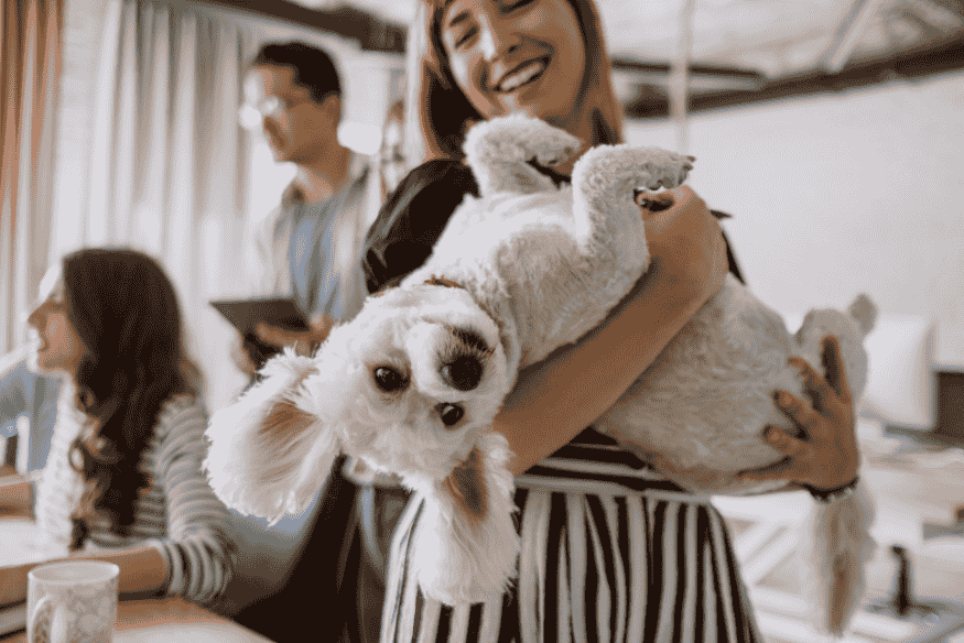 Mulher sorridente segurando seu cachorro no colo, destacando o vínculo emocional entre tutores e pets.