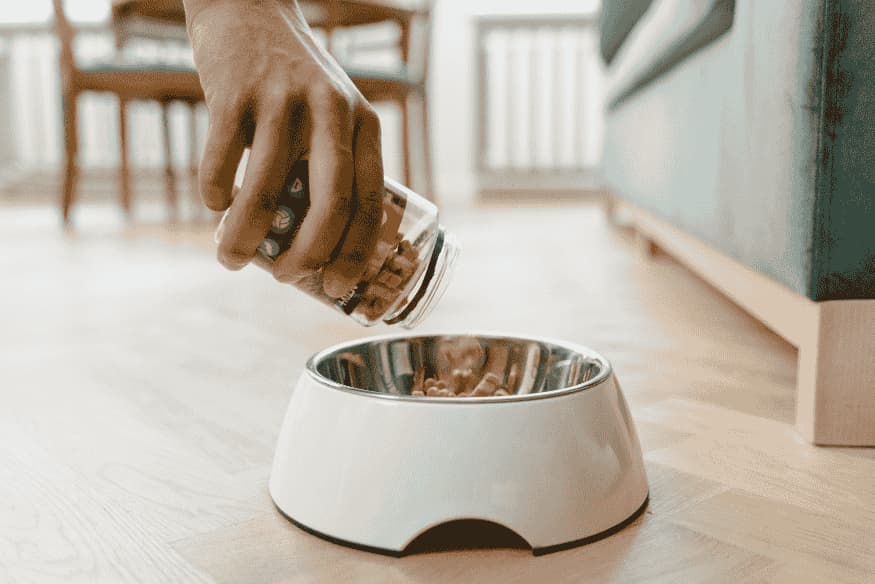 Pessoa servindo a quantidade correta de ração em tigela para evitar obesidade em pets