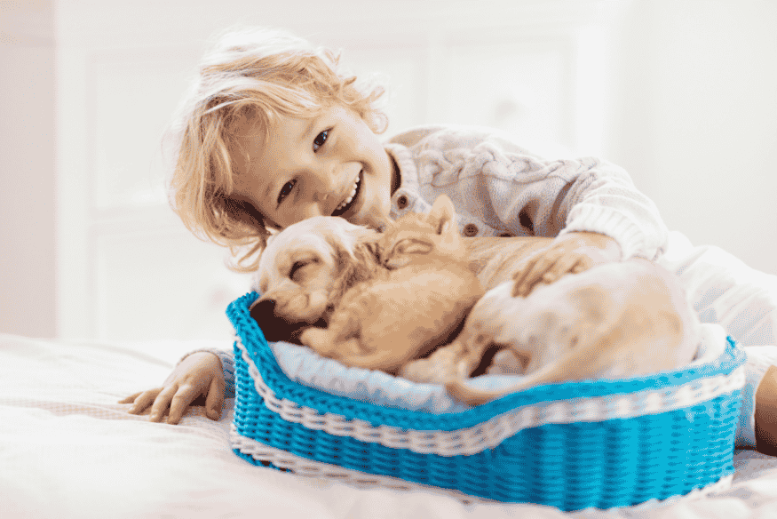 Criança sorrindo ao lado de filhotes em cesto azul, representando os benefícios dos pets no desenvolvimento infantil.