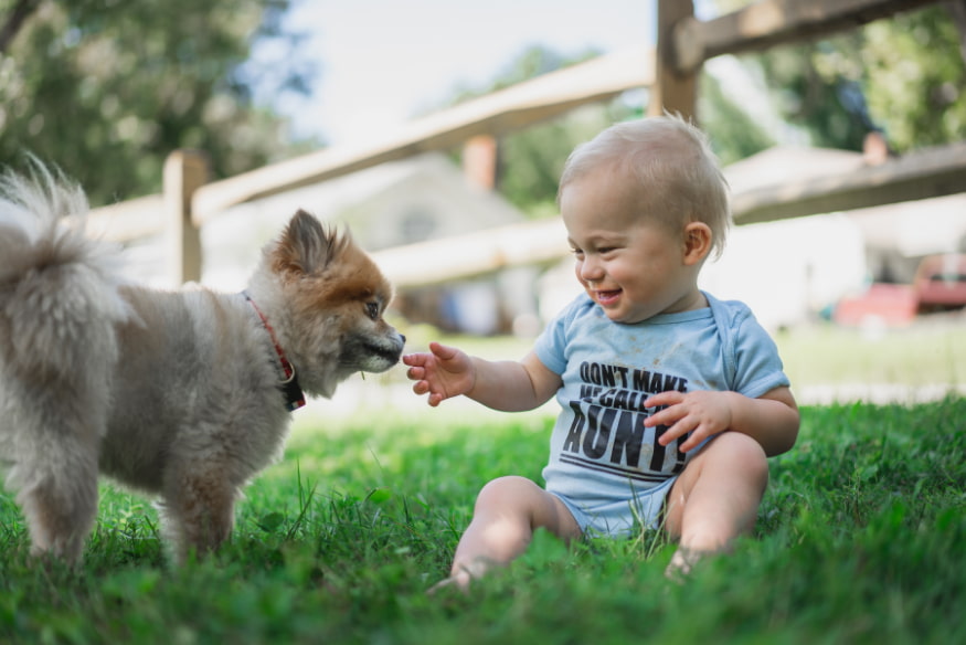 Bebê sorridente interagindo de forma segura com cachorro pequeno no jardim, mostrando a importância da supervisão na adaptação do cão à chegada do novo bebê.