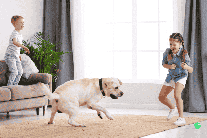 Crianças brincando com cachorro dentro de casa, promovendo enriquecimento ambiental para gastar energia antes do passeio.