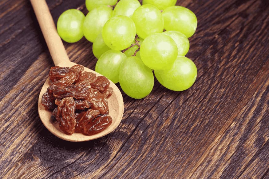 Uvas frescas e uvas-passas — alimentos altamente tóxicos para cachorros.