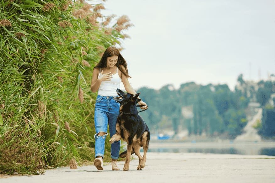 Tutora caminhando com seu cachorro para aliviar o estresse e reduzir latidos excessivos com exercícios físicos.