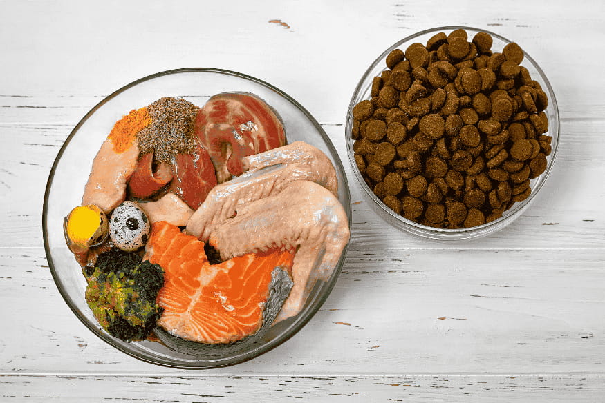 Prato com ingredientes crus como carne, peixe, ovos, vegetais e ração ao lado, simbolizando a transição alimentar controlada.