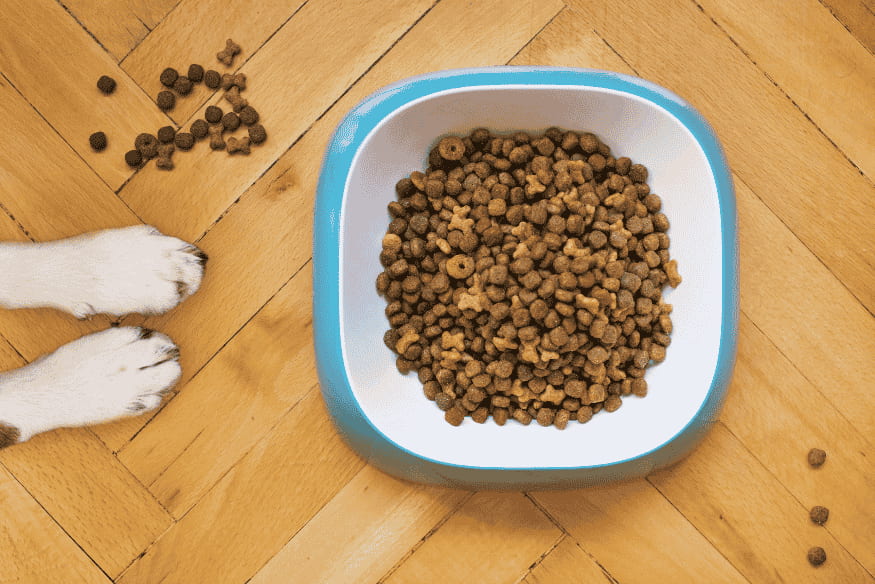 Ração canina em pote com patas de cachorro ao lado, representando opções entre rações premium, super premium e indicadas por veterinários.