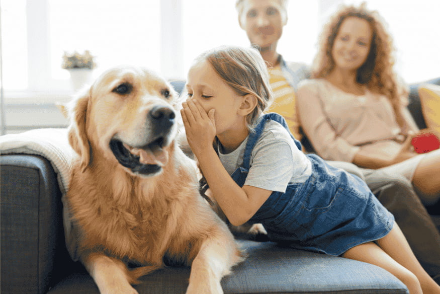 Criança interagindo com cachorro sob supervisão dos pais no sofá da sala.