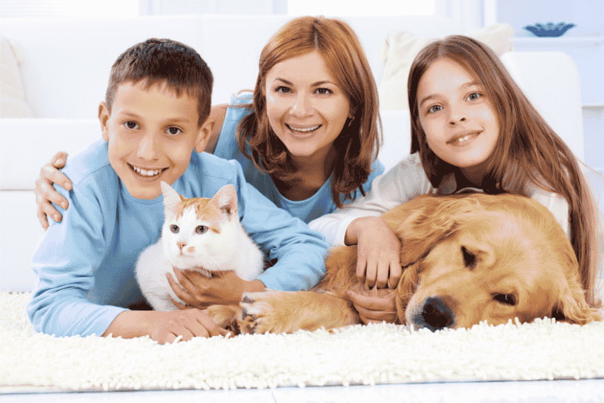 Família com crianças, cachorro e gato demonstrando convivência harmoniosa entre pets e humanos.