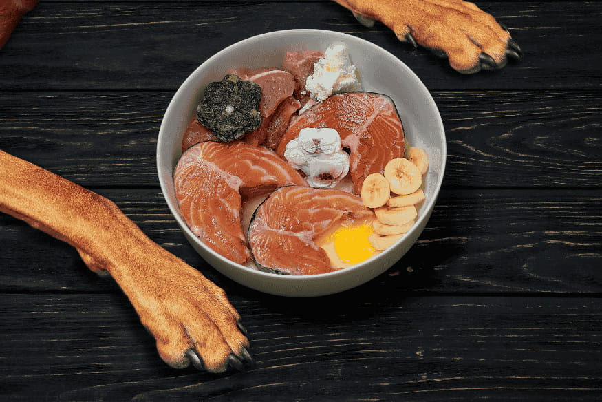 Tigela com salmão cru, ovo, banana e outros ingredientes naturais saudáveis para cães, cercada por patas de cachorro.