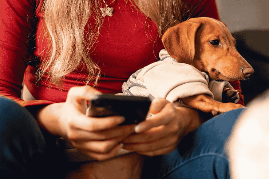 Mulher segurando um smartphone enquanto um cachorro de pequeno porte, vestido com roupinha, descansa no colo dela, sugerindo interação nas redes sociais com o pet.