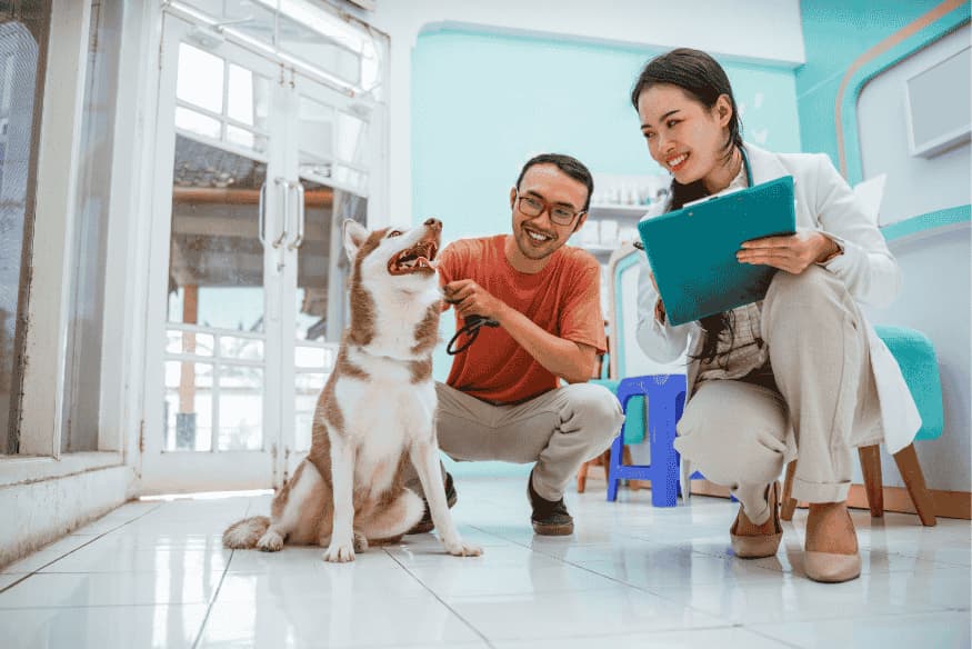 Veterinária explicando cobertura de plano de saúde pet para tutor de cachorro.