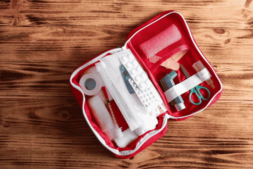 Kit de primeiros socorros completo para pets — item indispensável para emergências domésticas com cães e gatos.