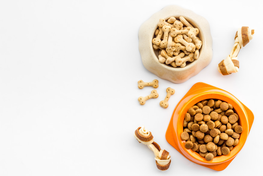 Tigelas com ração seca e petiscos em formato de osso, voltadas para cães, representando opções de alimentação para cães idosos.