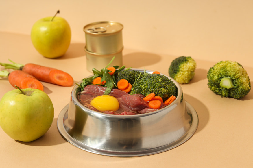 Comida natural para pets com carne crua, ovo, cenoura, brócolis e maçã em tigela de inox, representando dieta equilibrada para redução do estresse animal.
