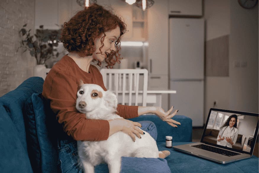 Tutora com seu cachorro em consulta veterinária por vídeo chamada no notebook