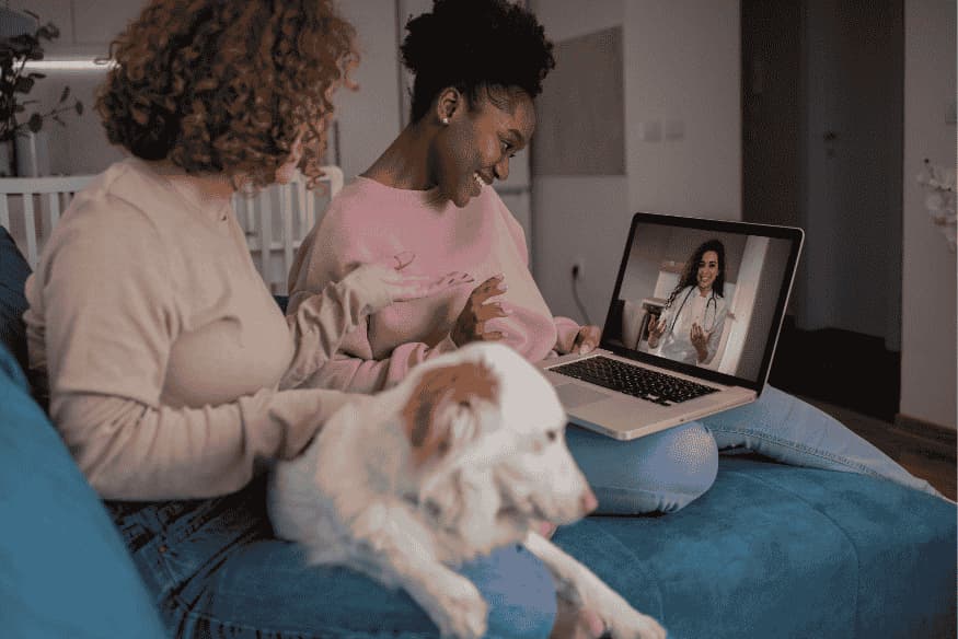 Donas interagindo com veterinária online enquanto o cachorro descansa no sofá