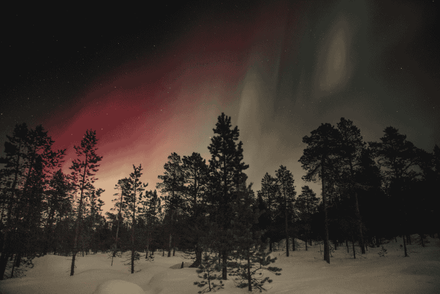 Aurora polar com tons vermelhos e claros acima de árvores em área nevada durante a noite, destacando a variedade de cores das auroras.
