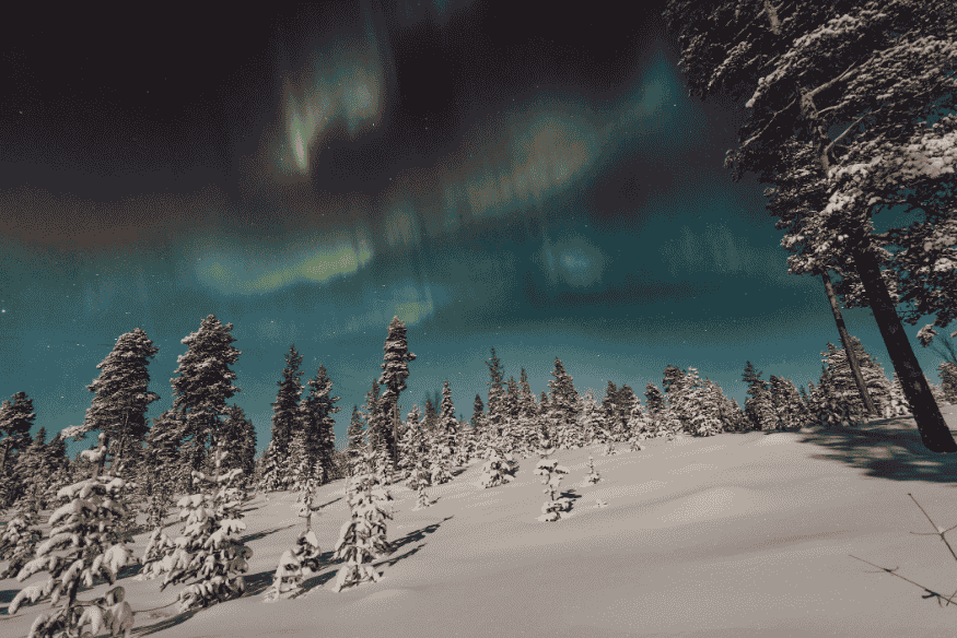 Aurora boreal verde iluminando o céu noturno sobre uma floresta coberta de neve, em uma paisagem típica de regiões polares.
