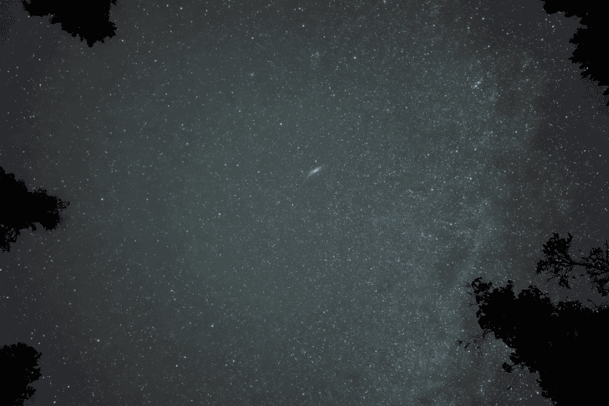 Céu noturno cheio de estrelas visto entre árvores escuras, com um objeto brilhante em destaque no campo celeste.