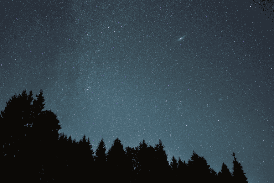 Céu estrelado acima da silhueta de árvores, com galáxia visível ao fundo em cena de astrofotografia simples.