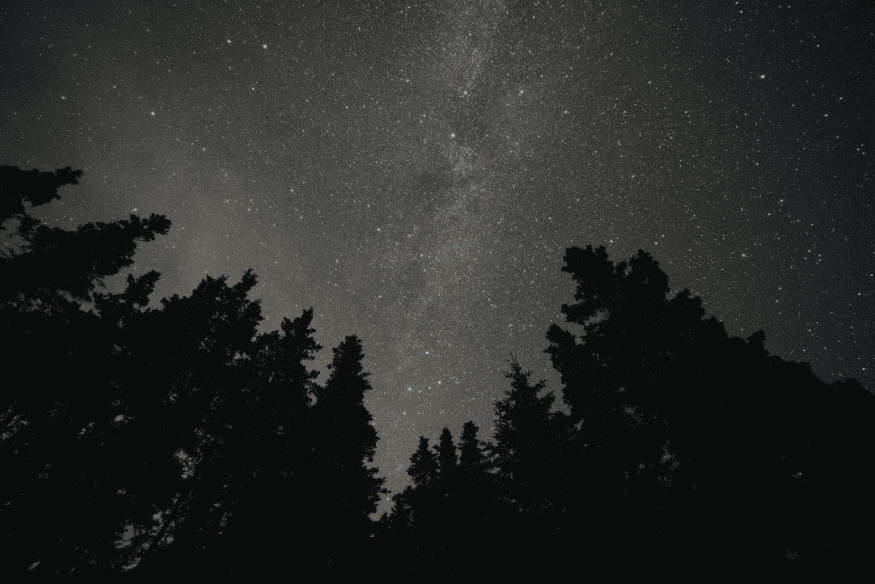 Céu noturno estrelado visto entre silhuetas de árvores, com faixa da Via Láctea aparecendo ao centro em ambiente escuro.