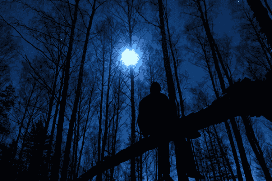 Pessoa em silhueta em floresta escura sob céu noturno, com a Lua brilhando entre as árvores.