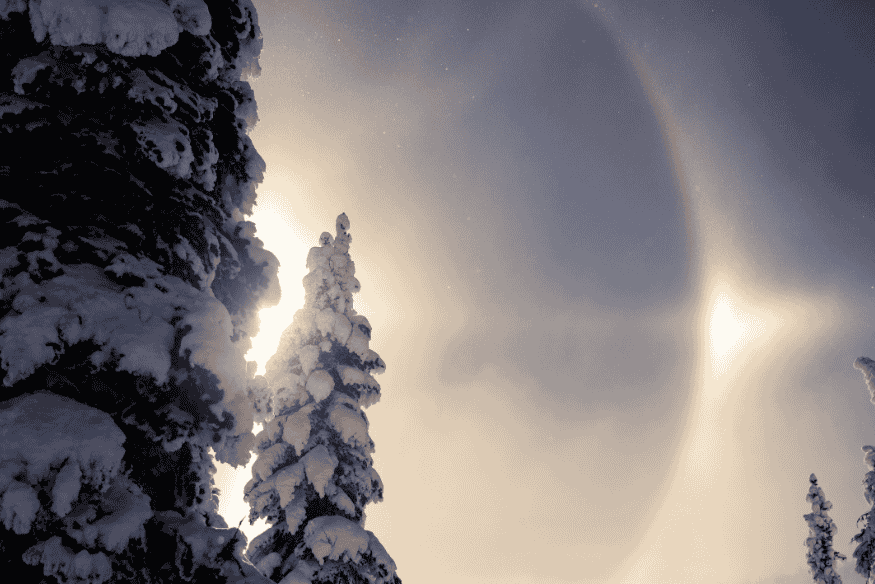 Parélio visível ao lado do Sol em céu frio, com halo luminoso e árvores cobertas de neve em primeiro plano.