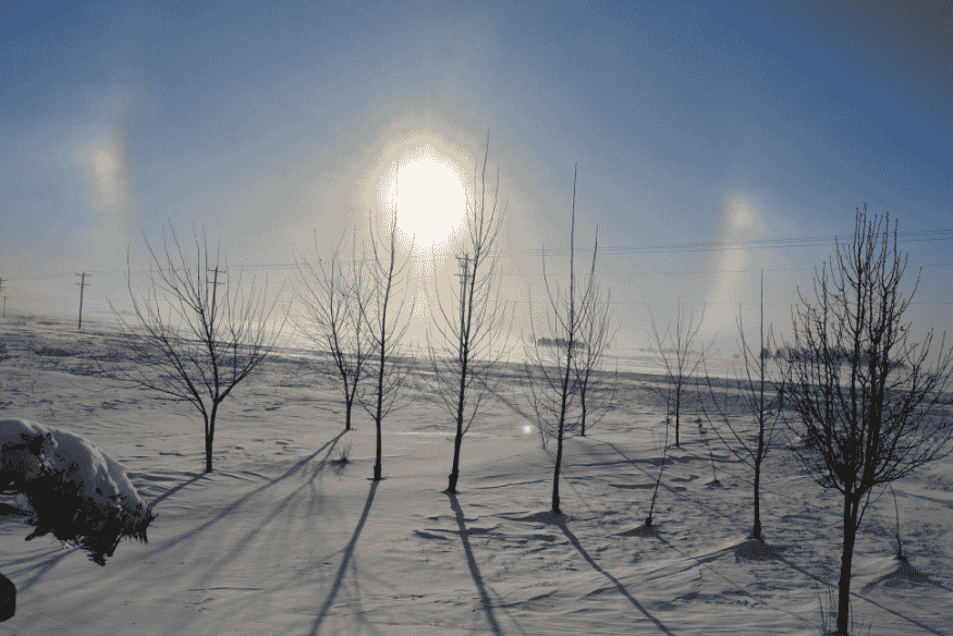 Parélios visíveis em ambos os lados do Sol sobre paisagem coberta de neve, com árvores sem folhas e brilho intenso no céu de inverno.