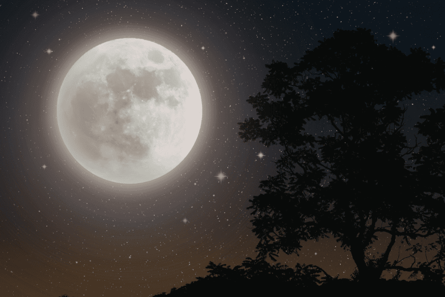 Lua cheia brilhante ao lado da silhueta de uma árvore em céu escuro, imagem usada para explicar o contraste entre a escuridão da noite e os corpos celestes visíveis.