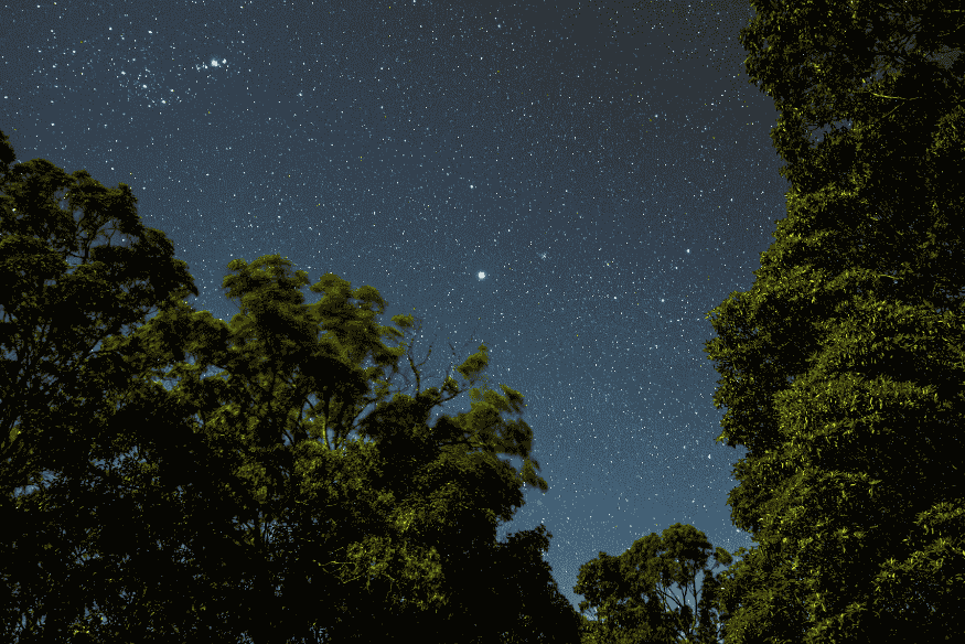 éu estrelado visto entre árvores, em ambiente escuro e aberto, ideal para uma sessão de observação astronômica em casa.